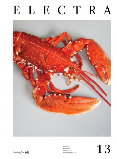 image of a lobster